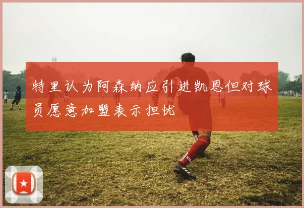 特里认为阿森纳应引进凯恩但对球员愿意加盟表示担忧