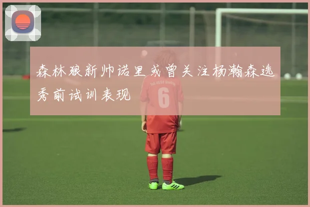 森林狼新帅诺里或曾关注杨瀚森选秀前试训表现